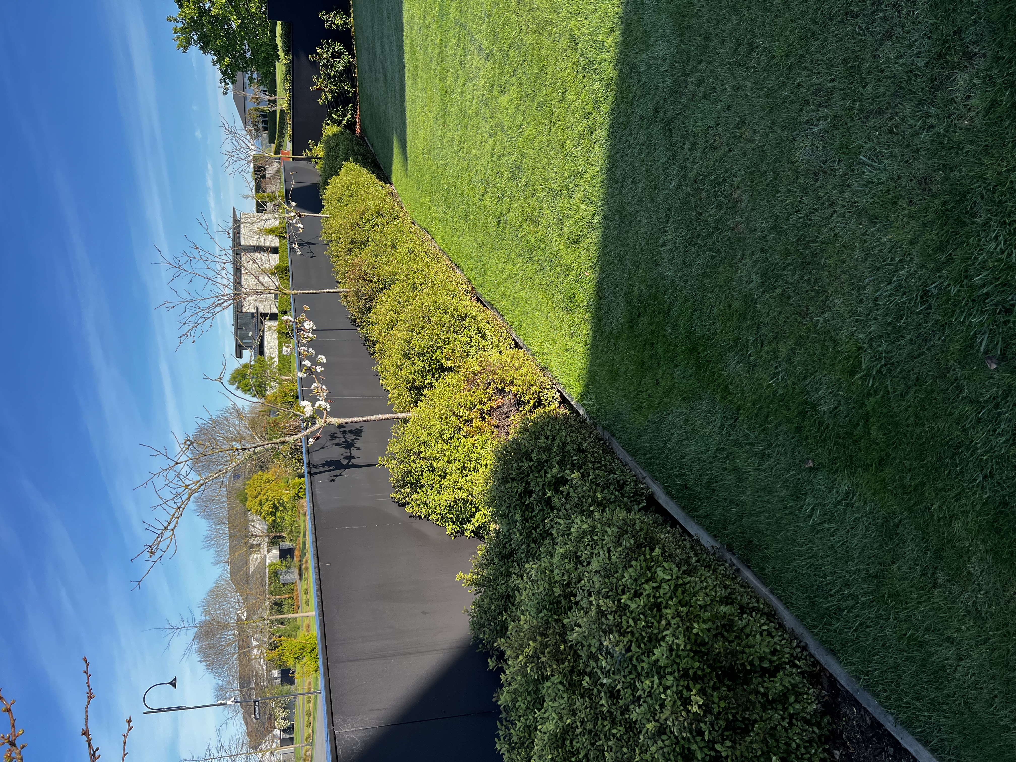 After Image